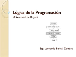 Lógica de la Programación
Lógica de la Programación
Universidad de Boyacá
Esp. Leonardo Bernal Zamora
 