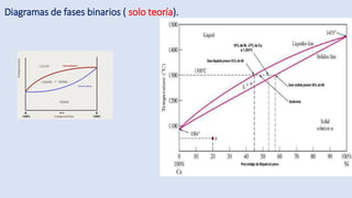 Comprehensive Study of Binary Phase Diagrams and Alloy Formation in ...