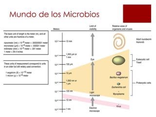 Mundo de los Microbios
 