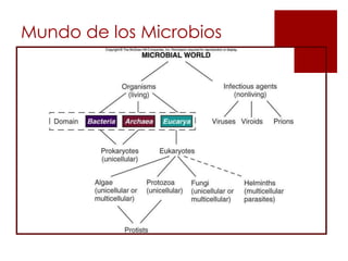 Mundo de los Microbios
 