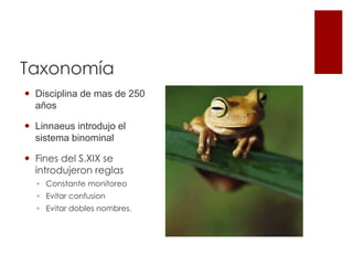 Taxonomía
 Disciplina de mas de 250
años
 Linnaeus introdujo el
sistema binominal
 Fines del S.XIX se
introdujeron reglas
◦ Constante monitoreo
◦ Evitar confusion
◦ Evitar dobles nombres.
 