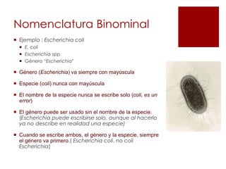 Nomenclatura Binominal
 Ejemplo : Escherichia coli
 E. coli
 Escherichia spp
 Género “Escherichia”
 Género (Escherichia) va siempre con mayúscula
 Especie (coli) nunca con mayúscula
 El nombre de la especie nunca se escribe solo (coli, es un
error)
 El género puede ser usado sin el nombre de la especie.
(Escherichia puede escribirse solo, aunque al hacerlo
ya no describe en realidad una especie)
 Cuando se escribe ambos, el género y la especie, siempre
el género va primero.( Escherichia coli, no coli
Escherichia)
 