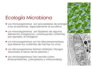 Ecología Microbiana
 Los microorganismos son proveedores de energía
a los ecosistemas, especialmente al acuático.
 Los microorganismos son fijadores de algunos
elementos inorgánicos, constituyendo nutrientes,
por ejemplo, el nitrógeno
 Los microorganismos son los descomponedores,
que liberan los nutrientes de fuentes no vivas
 Los Microorganismos forman simbiosis ( Hongos
asociadas a raíces de las plantas )
 Los microorganismos han servido como
Endosymbiontes (cloroplastos y mitocondrias)
 