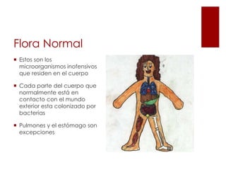 Flora Normal
 Estos son los
microorganismos inofensivos
que residen en el cuerpo
 Cada parte del cuerpo que
normalmente está en
contacto con el mundo
exterior esta colonizado por
bacterias
 Pulmones y el estómago son
excepciones
 