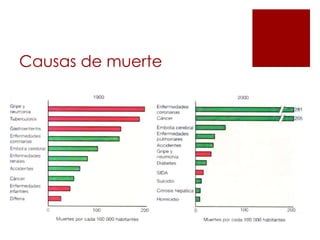 Causas de muerte
 