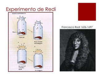 Experimento de Redi
Francesco Redi 1626-1697
 