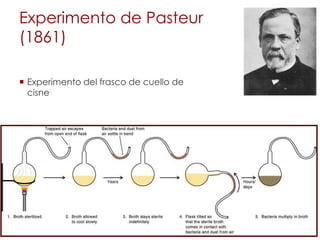 Experimento de Pasteur
(1861)
 Experimento del frasco de cuello de
cisne
 