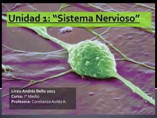 Unidad 1: “Sistema Nervioso” Liceo Andrés Bello 2011 Curso: I° Medio Profesora: Constanza Avilés A. 