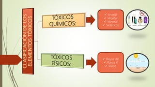  Animal
 Vegetal
 Mineral
 Sintéticos
 Rayos UV
 Rayos X
 Ruido
 