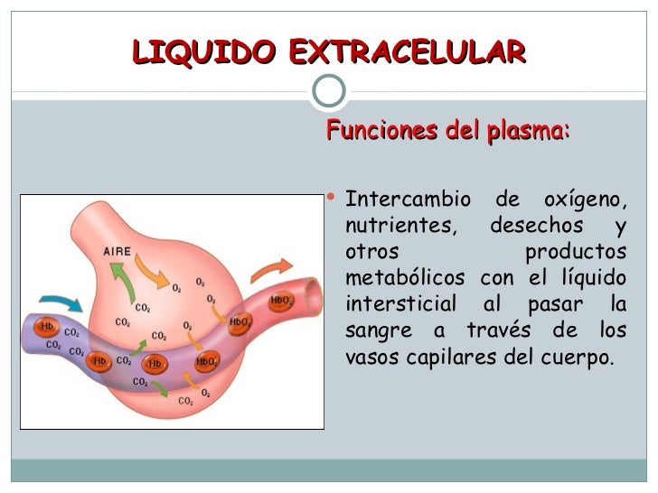 Clase1 volumen de liquidos 201210