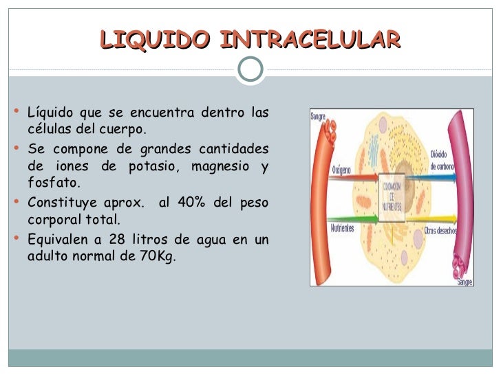 Clase1 volumen de liquidos 201210 Clase1 volumen de liquidos 201210