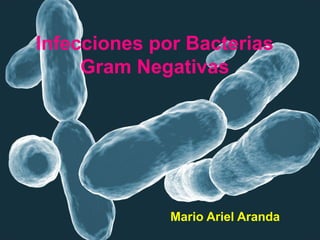 Infecciones por Bacterias
Gram Negativas
Mario Ariel Aranda
 