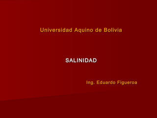 Universidad Aquino de BoliviaUniversidad Aquino de Bolivia
SALINIDADSALINIDAD
Ing. Eduardo FigueroaIng. Eduardo Figueroa
 