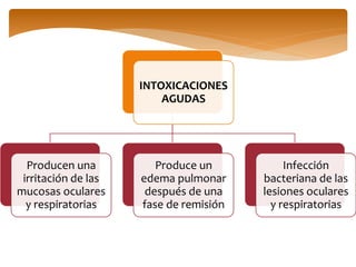 INTOXICACIONES
AGUDAS
Producen una
irritación de las
mucosas oculares
y respiratorias
Produce un
edema pulmonar
después de una
fase de remisión
Infección
bacteriana de las
lesiones oculares
y respiratorias
 