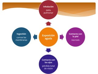 Exposición
aguda
Inhalación
daño
pulmonar
Contacto con
la piel
necrosis
Contacto con
los ojos
pérdida total
de visión
Ingestión
corroe las
membranas
 