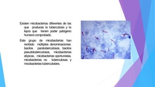 Existen micobacterias diferentes de las
que produces la tuberculosis y la
lepra que tienen poder patógeno
humanocomprobado.
Este grupo de micobacterias han
recibido múltiples denominaciones:
bacilos paratuberculosos, bacilos
pseudotuberculosos, micobacterias
atípicas, micobacterias oportunistas,
micobacterias no tuberculosas y
micobacterias tuberculoides.
 