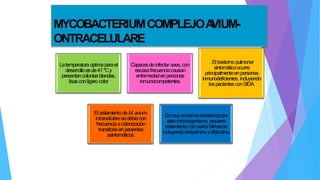 MYCOBACTERIUMCOMPLEJOA
VIUM-
ONTRACELULARE
Latemperatura optimaparael
desarrolloesde41*Cy
presentancoloniasblandas,
lisasconligero color
Capacesdeinfectar aves, con
escasafrecuenciacausan
enfermedadenpersonas
inmunocompetentes.
. Eltrastorno pulmonar
sintomáticoocurre
principalmenteenpersonas
inmunodeficientes,incluyendo
lospacientesconSIDA.
ElaislamientodeM. avium-
intracellularesedebíacon
frecuenciaacolonización
transitoriaenpacientes
asintomáticos.
Esmuycomúnlaresistenciapor
estemicroorganismo, requiere
tratamientoconvariosfármacos
incluyendoclofaciminayrifabutina.
 