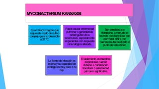MYCOBACTERIUMKANSASSI
Esunfotocromogeno que
requiredemediodecultivo
complejo para sudesarrollo
a37*C.
Puedecausar enfermedad
pulmonar ogeneralizada
indistinguible dela
tuberculosis, especialmente
enpacientes conrespuesta
inmunológica alterada.
Sonsensibles ala
rifampicina, amenudose
lestrataconrifampicina con
etambutol eINH, con
buenosresultados desdeel
punto devistaclínico
Lafuente deinfecciónes
incierta ysucapacidadde
contagioesmuypocaono
hay.
Elaislamientoenmuestras
respiratoriaspueden
deberseacolonización
transitoriaoenfermedad
pulmonar significativa.
 