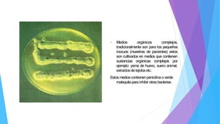 • Medios orgánicos complejos,
tradicionalmente son para los pequeños
inocuos (muestras de pacientes) estos
son cultivados en medios que contienen
sustancias orgánicas complejas por
ejemplo: yema de huevo, suero animal,
extractosde tejidosetc.
Estos medios contienenpenicilinao verde
malaquitapara inhibir otras bacterias
 