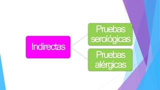 Indirectas
Pruebas
serológicas
Pruebas
alérgicas
 