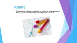 MUESTRAS
• Paraelestudio seemplearán productostales comoestupo,orina, aspiradogástrico o
bronquial, líquido cefalorraquídeo, líquido pleural, piezas de exéresis, etc.
 