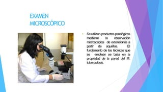 EXAMEN
MICROSCÓPICO
• Se utilizan productos patológicos
mediante la observación
microscópica de extensiones a
partir de aquéllos. El
fundamento de las técnicas que
se emplean se basa en la
propiedad de la pared del M.
tuberculosis.
 
