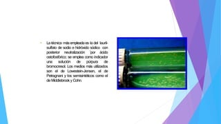 • La técnica másempleadaes la del lauril-
sulfato de sodio e hidróxido sódico con
posterior neutralización ´por ácido
ostofosfórico; se emplea como indicador
una solución de púrpura de
bromocresol. Los medios más utilizados
son el de Lowestein-Jensen, el de
Petragnani y los semisintéticos como el
deMiddlebrooky Cohn.
 