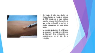 • Se limpia el sitio con alcohol de
fricción. Luego, se inyecta el extracto
de PPD debajo de la capa cutánea
superior, provocando la formación de
una roncha en la piel, la cual por lo
regular desaparece en unas pocas
horas.
• La reacción tardará de 48 a 72 horas
en aparecer y se mide en milímetros
de hinchazón firme (induración), no
enrojecimiento, en el sitio de la
infección.
 