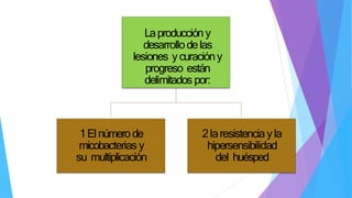 Laproduccióny
desarrollodelas
lesiones ycuracióny
progreso están
delimitados por:
1Elnúmerode
micobacterias y
su multiplicación
2laresistenciayla
hipersensibilidad
del huésped
 