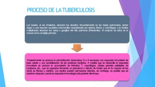 PROCESO DE LATUBERCULOSIS
Los bacilos, al ser inhalados, alcanzan los alveólos, frecuentemente en las bases pulmonares, dando
origen a una reacción exudativa (neumonitis) caracterizada por edema, fibrina y macrófagos. Los bacilos
multiplicados alcanzan los vasos y ganglios del hilio pulmonar (linfadenitis). Al conjunto de estos se le
conocecomocomplejoprimario.
Posteriormente se produce la primoinfección tuberculosa (3 a 8 semanas) una respuesta inmunitaria de
base celular y una sensibilización de las proteínas bacilares. A medida que se desarrolla la respuesta
inmunitaria se produce la acumulación de linfocitos T, macrófagos, células grandes epiteliales de
Langhans, etc., que se organizan formando un granuloma o folículo de Koster que en la mayoría de las
veces se fibrosa y calcifica. Los bacilos pueden permanecer latentes, sin embargo, es posible que se
reactivendespués,cuandolarespuestainmunológicadelpaciente disminuya.
 