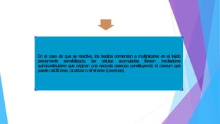 En el caso de que se reactive, los bacilos comienzan a multiplicarse en el tejido
previamente sensibilizado; las células acumuladas liberan mediadores
químicostisulares que originan una necrosis caseosa constituyendo el caseum que
puedecalcificarse,cicatrizaroelminarse(cavernas).
 