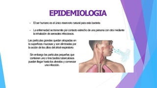 EPIDEMIOLOGIA
- Elserhumanoesel único reservorio natural paraestabacteria
- Laenfermedad setransmite porcontactoestrechodeunapersona conotra mediante
lainhalación deaerosoles infecciosos.
Las partículas grandes quedan atrapadas en
la superficies mucosas y son eliminadas por
laacción delos cilios del árbol respiratorio
Sinembargo laspartículaspequeñas que
contienen unootresbacilos tuberculosos
pueden llegar hasta los alveolos ycomenzar
unainfección.
 
