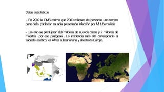 Datosestadísticos
- En 2002 la OMS estimo que 2000 millones de personas una tercera
partedela población mundial presentaba infección por M.tuberculosis
- Ese año se produjeron 8,8 millones de nuevos casos y 2 millones de
muertes por ese patógeno . La incidencia mas alta correspondía al
sudeste asiático, el Áfricasubsahariana yel estedeEuropa.
 