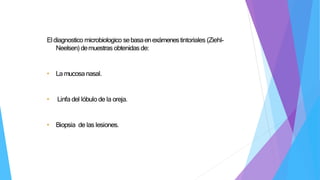 Eldiagnostico microbiologico sebasaenexámenestintoriales (Ziehl-
Neelsen)demuestras obtenidas de:
• La mucosa nasal.
• Linfa del lóbulode la oreja.
• Biopsia de las lesiones.
 