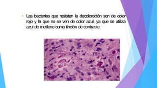 • Las bacterias que resisten la decoloración son de color
rojo y la que no se ven de color azul, ya que se utiliza
azul de metileno como tinción de contraste.
 
