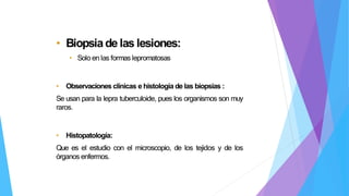 • Biopsiade las lesiones:
• Solo en las formas lepromatosas
• Observaciones clínicas e histología de las biopsias :
Se usan para la lepra tuberculoide, pues los organismos son muy
raros.
• Histopatología:
Que es el estudio con el microscopio, de los tejidos y de los
órganos enfermos.
 
