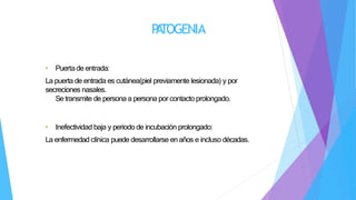 P
A
TOGENIA
• Puertade entrada:
La puerta de entrada es cutánea(piel previamente lesionada) y por
secreciones nasales.
Se transmite de persona a persona por contacto prolongado.
• Inefectividad baja y periodo de incubación prolongado:
La enfermedad clínica puede desarrollarse en años e incluso décadas.
 