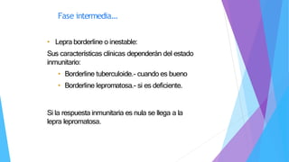• Lepra borderline o inestable:
Sus características clínicas dependerán del estado
inmunitario:
• Borderline tuberculoide.- cuando es bueno
• Borderline lepromatosa.- si es deficiente.
Si la respuesta inmunitaria es nula se llega a la
lepra lepromatosa.
Fase intermedia…
 
