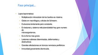 • Lepralepromatosa:
• Multiplicación intracelular de los bacilos es máxima.
• Globis en macrófagosy células de Schwann.
• Evolucionalentamenteperoconstante.
• En lesiones y sistema reticuloendotelial hay gran numero
de
microorganismos.
• Es la formamas grave.
• Lesiones cutáneas diseminadas, deformantes y
destructivas
• Grandes afectaciones en troncos nerviosos periféricos
• Inmunidadgravementedisminuida.
Fase principal…
 