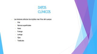 DA
TOS
CLÍNICOS
• Las lesiones afectan los tejidos mas fríos del cuerpo:
• Piel
• Nerviossuperficiales
• Nariz
• Faringe
• Laringe
• Ojos
• Testículos
 