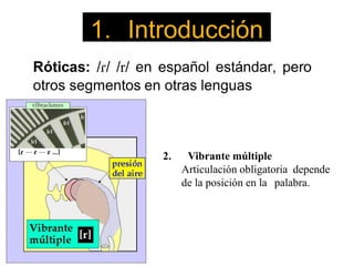1. Introducción
2. Vibrante múltiple
Articulación obligatoria depende
de la posición en la palabra.
 