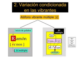 2. Variación condicionada
en las vibrantes
 