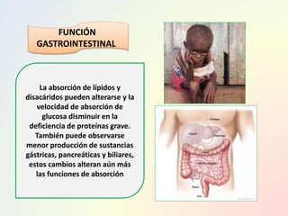 FUNCIÓN
GASTROINTESTINAL
La absorción de lípidos y
disacáridos pueden alterarse y la
velocidad de absorción de
glucosa disminuir en la
deficiencia de proteínas grave.
También puede observarse
menor producción de sustancias
gástricas, pancreáticas y biliares,
estos cambios alteran aún más
las funciones de absorción
 