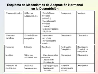 Esquema de Mecanismos de Adaptación Hormonal
en la Desnutrición
 