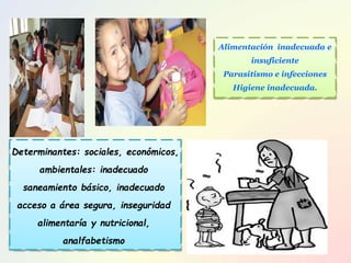 Alimentación inadecuada e
insuficiente
Parasitismo e infecciones
Higiene inadecuada.
Determinantes: sociales, económicos,
ambientales: inadecuado
saneamiento básico, inadecuado
acceso a área segura, inseguridad
alimentaría y nutricional,
analfabetismo
 