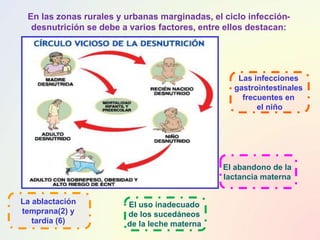 En las zonas rurales y urbanas marginadas, el ciclo infección-
desnutrición se debe a varios factores, entre ellos destacan:
El abandono de la
lactancia materna
La ablactación
temprana(2) y
tardía (6)
Las infecciones
gastrointestinales
frecuentes en
el niño
El uso inadecuado
de los sucedáneos
de la leche materna
 
