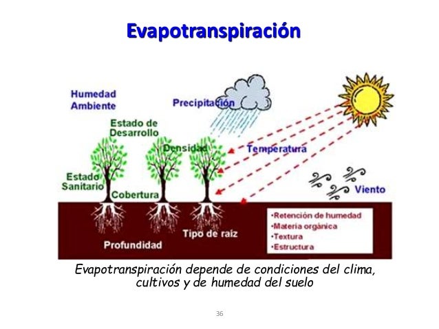 Factores Que Influyen En La Evapotranspiración