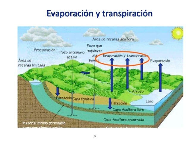 Clase 10 evapotranspiracion