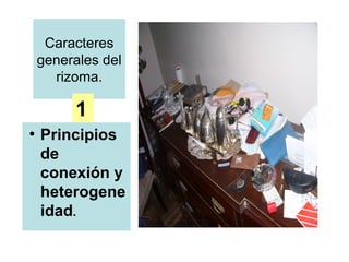 Caracteres
    generales del
      rizoma.

         1
●
    Principios
    de
    conexión y
    heterogene
    idad.
 