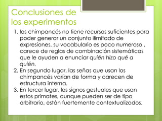 Conclusiones de
los experimentos
1. los chimpancés no tiene recursos suficientes para
   poder generar un conjunto ilimitado de
   expresiones, su vocabulario es poco numeroso ,
   carece de reglas de combinación sistemáticas
   que le ayuden a enunciar quién hizo qué a
   quién.
2. En segundo lugar, las señas que usan los
   chimpancés varían de forma y carecen de
   estructura interna.
3. En tercer lugar, los signos gestuales que usan
   estos primates, aunque pueden ser de tipo
   arbitrario, están fuertemente contextualizados.
 